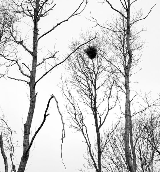 Copyright Birthe Havmøller